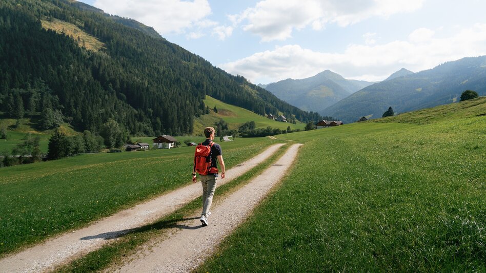 Hiking route Roundway Vorderwald - Touren-Impression #2.1 | © Christoph Lukas