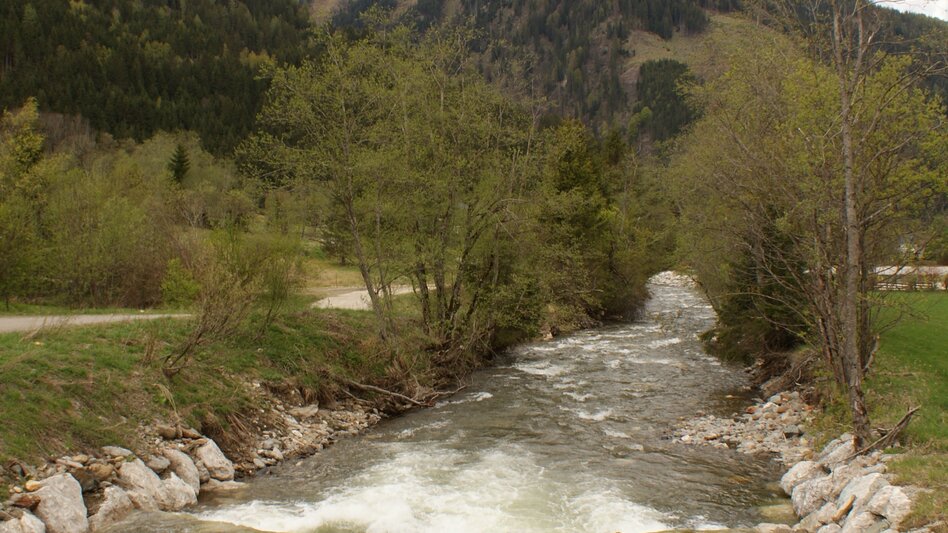 Regional hiking trail Runde am Bach - Touren-Impression #2.3 | © Erlebnisregion Schladming-Dachstein