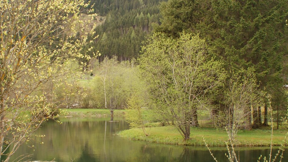 Regional hiking trail Runde am Bach - Touren-Impression #2.5 | © Erlebnisregion Schladming-Dachstein