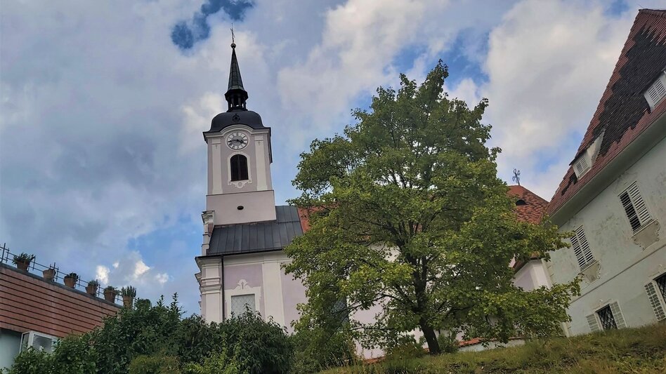 Bike Riding Cycle tour via Schönegg HB9, Pöllau - Touren-Impression #2.2 | © Oststeiermark Tourismus