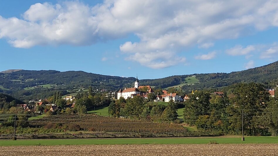 Bike Riding Cycle tour via Schönegg HB9, Pöllau - Touren-Impression #2.3 | © Oststeiermark Tourismus