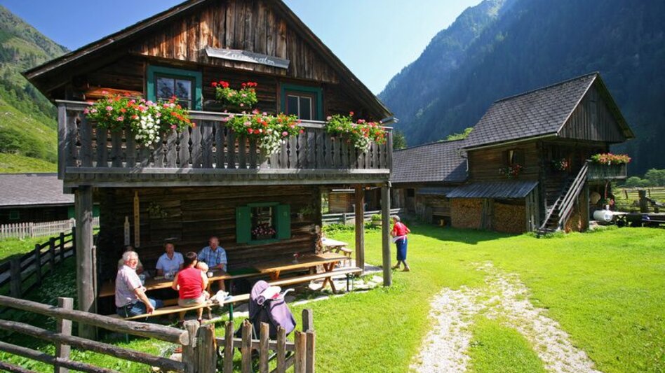 Wanderung Wanderung zur Putzentalalm - Touren-Impression #2.5 | © Erlebnisregion Schladming-Dachstein