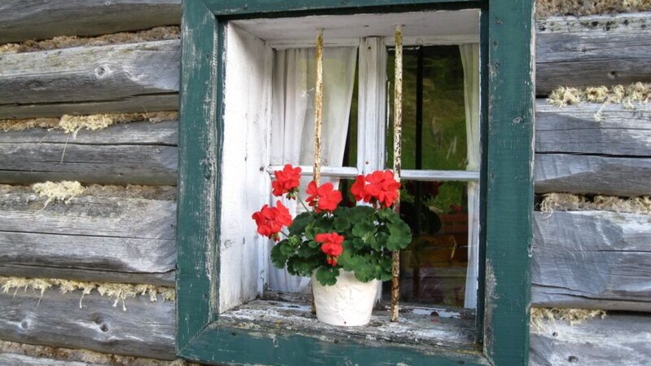 Wanderung Wanderung zur Putzentalalm - Touren-Impression #2.10 | © Erlebnisregion Schladming-Dachstein