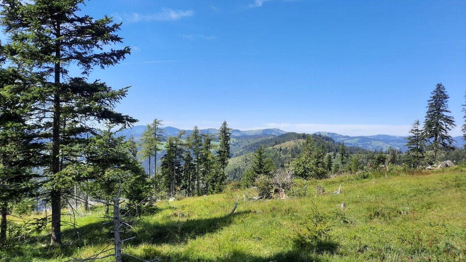 Wanderung Zetz-Runde, Anger - Touren-Impression #2.4 | © Oststeiermark Tourismus