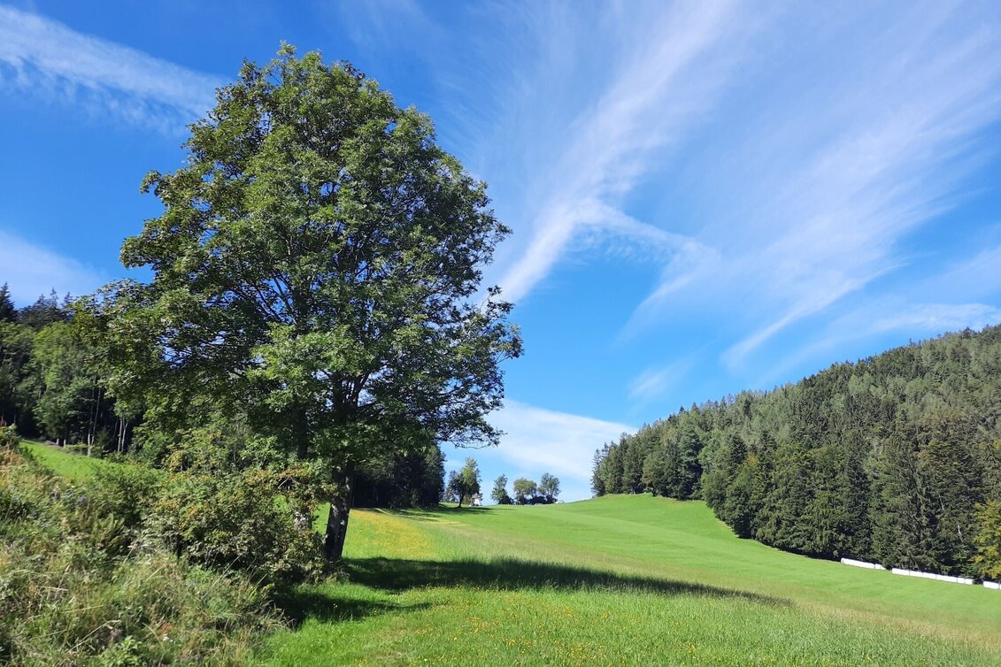 Wanderung Zetz-Runde, Anger - Touren-Impression #1 | © Oststeiermark Tourismus