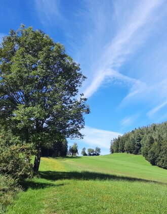 Blick zum Gschnaidter Kreuz | ©WEGES | © Oststeiermark Tourismus