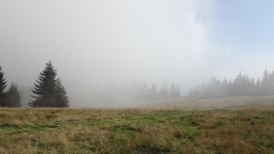 Hiking route Hike from Etmißl to Floning - Touren-Impression #2.4 | © Marktgemeinde Thörl