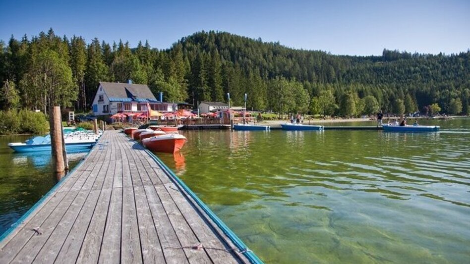 Hiking route Power place lake Erlaufsee - Touren-Impression #2.9 | © www.mariazell.blog