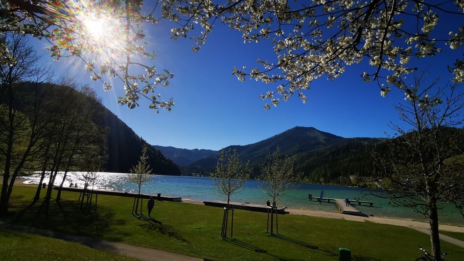 Hiking route Power place lake Erlaufsee - Touren-Impression #2.11 | © TV Hochsteiermark