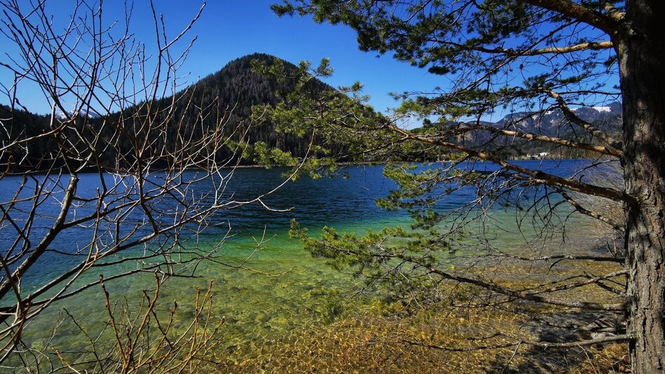 Hiking route Power place lake Erlaufsee - Touren-Impression #2.12 | © TV Hochsteiermark