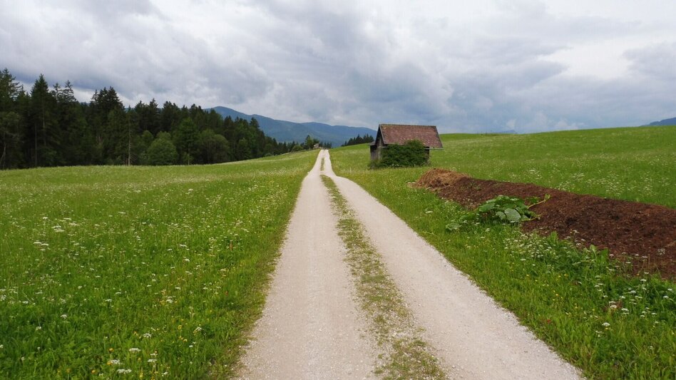 Jogging Bad Mitterndorf-Krungl-Neuhofen - Touren-Impression #2.5 | © Ausseerland