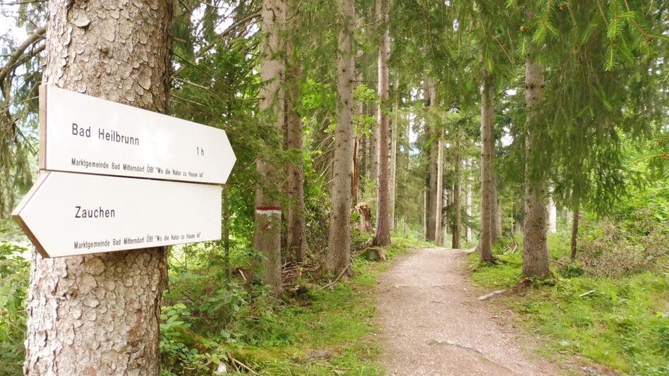 Jogging Bad Mitterndorf-Krungl-Neuhofen - Touren-Impression #2.7 | © Ausseerland