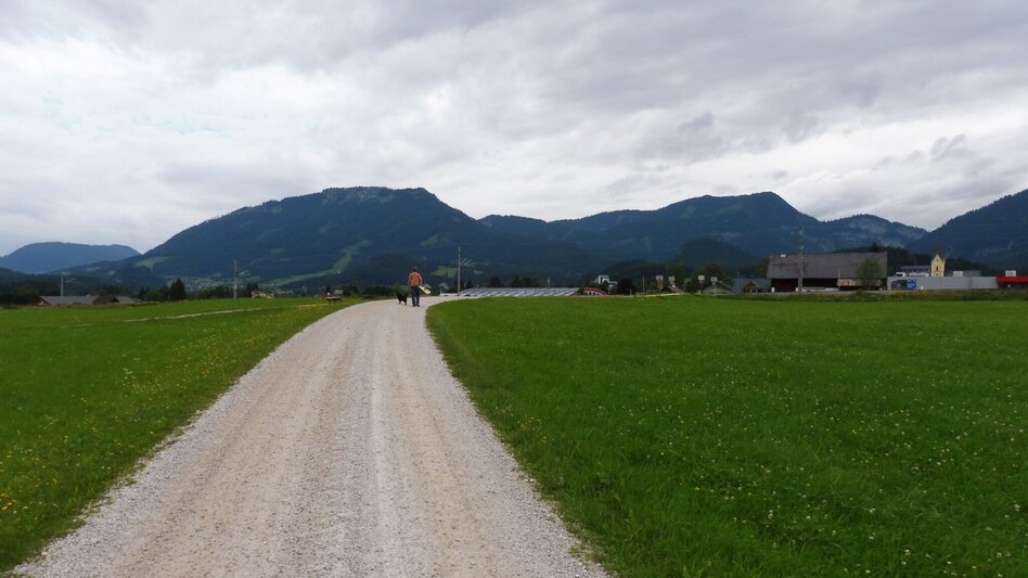Jogging Bad Mitterndorf-Krungl-Neuhofen - Touren-Impression #2.9 | © Ausseerland