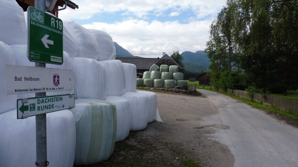 Jogging Bad Mitterndorf-Heilbrunn-Salza - Touren-Impression #2.2 | © Ausseerland