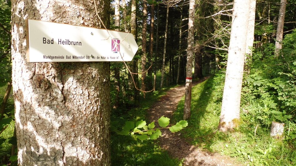 Jogging Bad Mitterndorf-Heilbrunn-Salza - Touren-Impression #2.1 | © Ausseerland