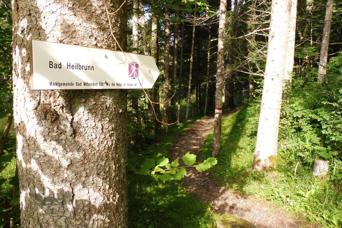 Jogging Bad Mitterndorf-Heilbrunn-Salza - Touren-Impression #1 | © Ausseerland