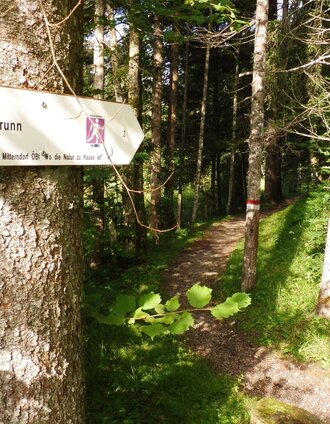 ein wenig auf und ab. | Gerhard Ziermayer | © Ausseerland