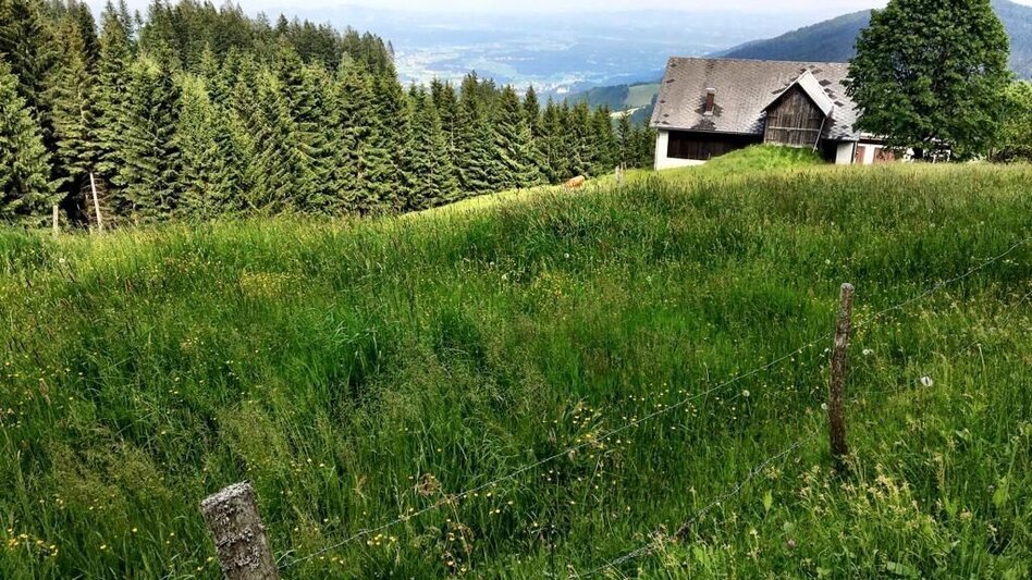 Wanderung Hochmoorweg Nr. 13  - Touren-Impression #2.2 | © TV Südsteiermark
