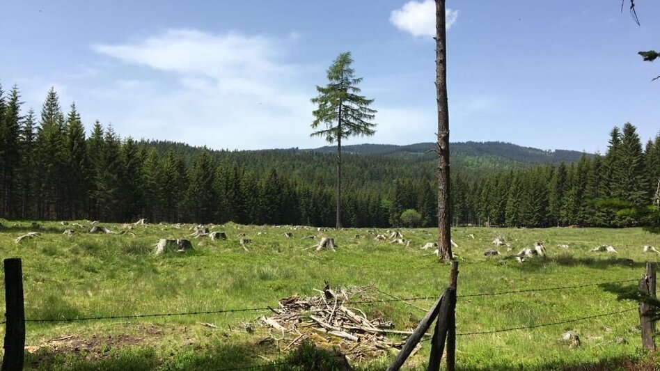 Wanderung Hochmoorweg Nr. 13  - Touren-Impression #2.1 | © TV Südsteiermark