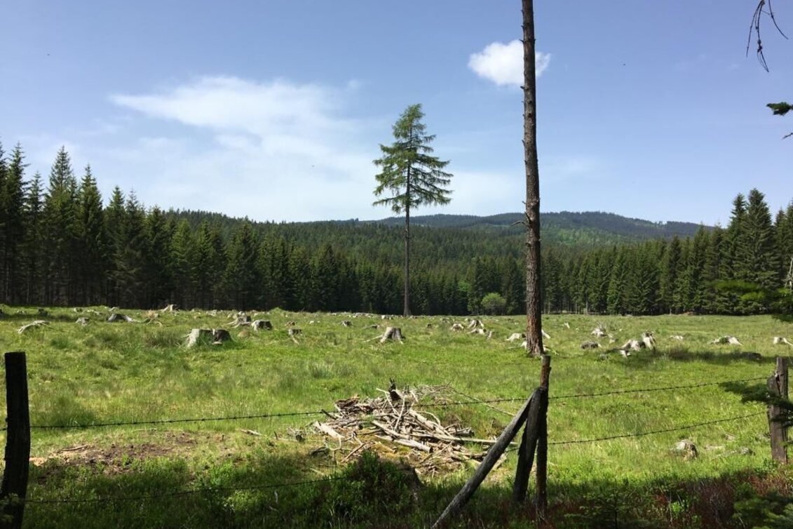 Wanderung Hochmoorweg Nr. 13  - Touren-Impression #1 | © TV Südsteiermark