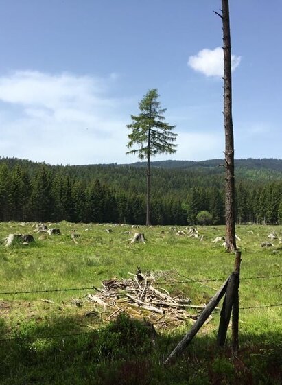 Hochmoorweg Richtung Schirchleralm | © TV Südsteiermark | Katharina Reinisch | © TV Südsteiermark