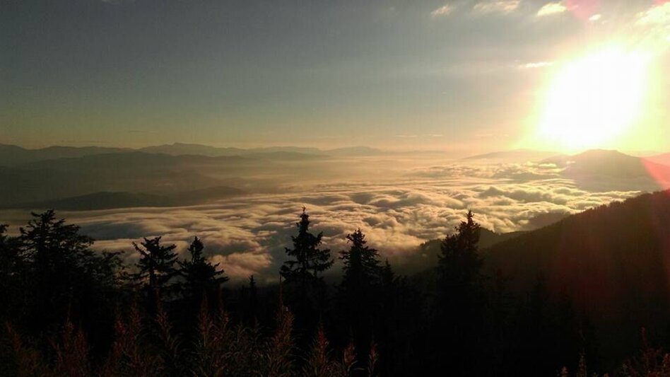 Hiking route Mugel hike from Niklasdorf - Touren-Impression #2.5 | © Mugelschutzhaus/Helmut Breidler