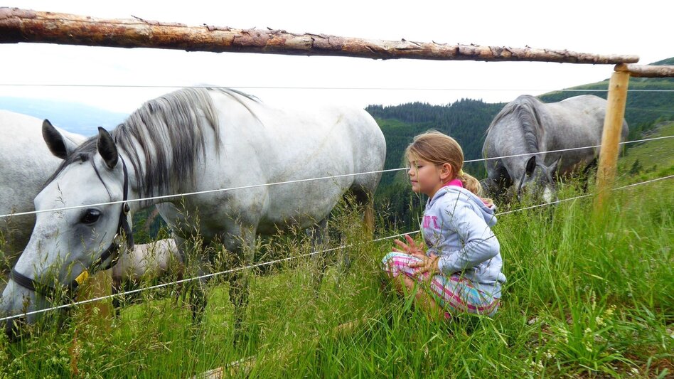 Wanderung Lipizzaner Gleinalm Erlebnis - Touren-Impression #2.4 | © Region Graz