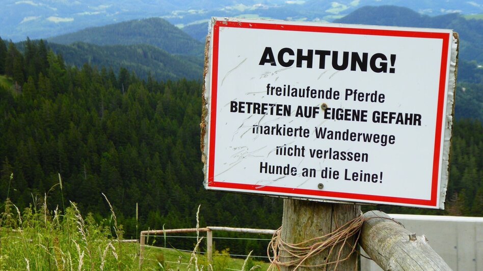 Wanderung Lipizzaner Gleinalm Erlebnis - Touren-Impression #2.5 | © Region Graz