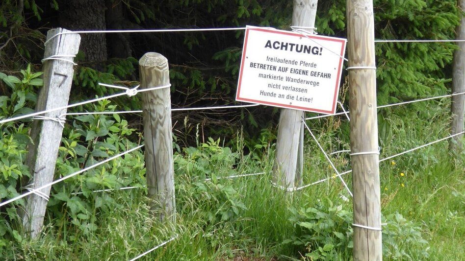 Wanderung Lipizzaner Gleinalm Erlebnis - Touren-Impression #2.8 | © Region Graz