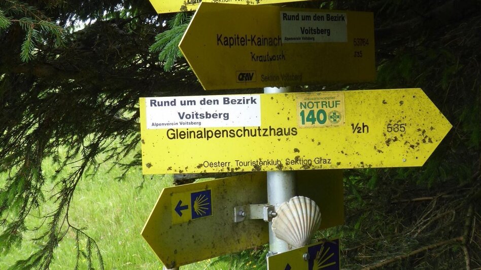 Wanderung Lipizzaner Gleinalm Erlebnis - Touren-Impression #2.9 | © Region Graz