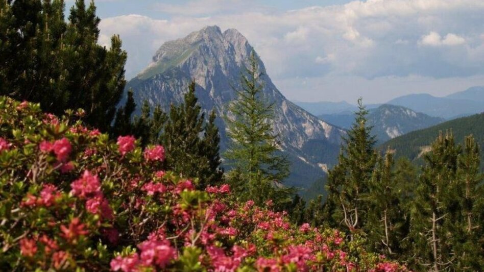 Wanderung Habsburg Meile - Auf den Spuren der Habsburger in Radmer - Touren-Impression #2.2 | © Tourismusverband ERZBERG LEOBEN