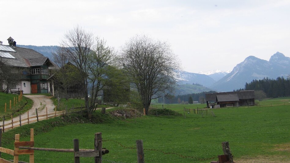 Hiking route Stroller tour in the district of Krungl - Touren-Impression #2.3 | © TVB Ausseerland Salzkammergut_Rastl