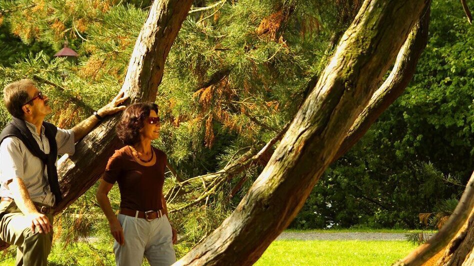 Bike Riding Bike&Train Gleichenberg Tour (Rad&Bahn Gleichenberger Tour) - Touren-Impression #2.1 | © Thermen- & Vulkanland