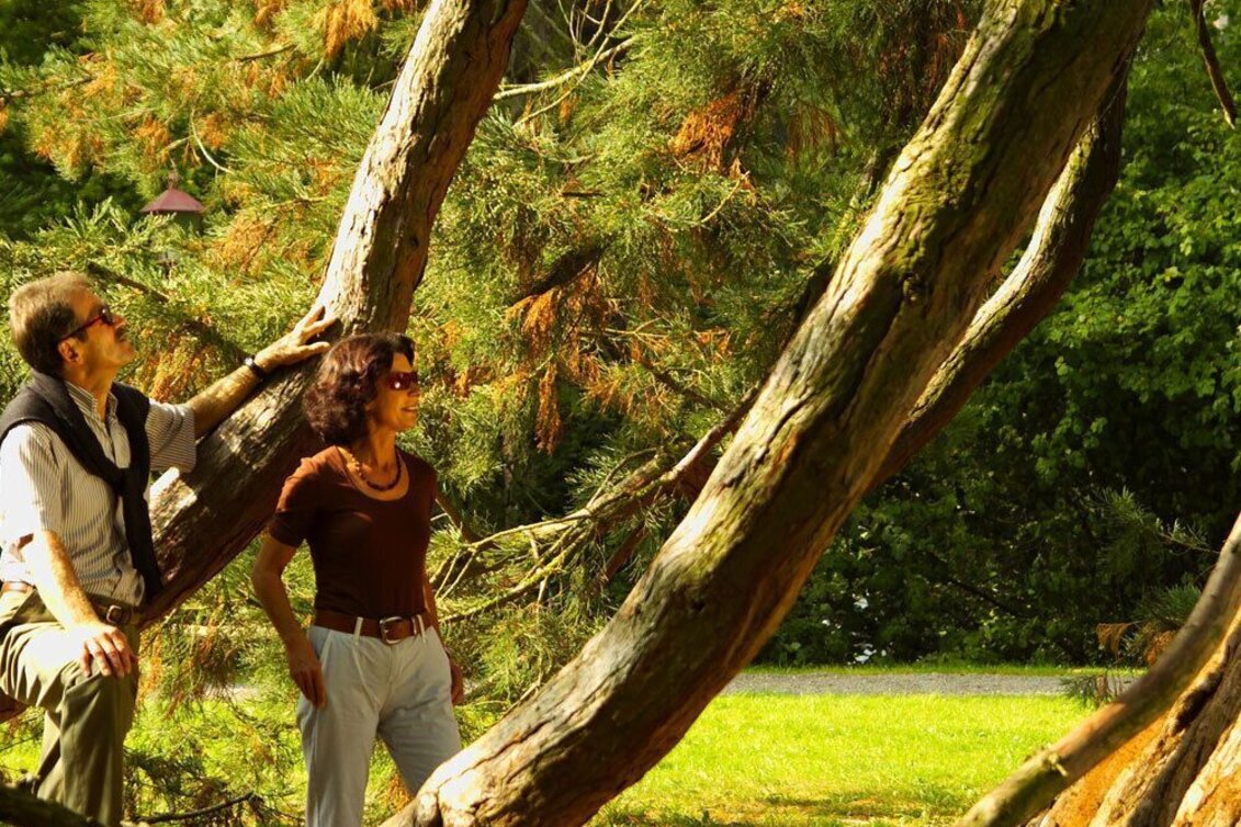 Bike Riding Bike&Train Gleichenberg Tour (Rad&Bahn Gleichenberger Tour) - Touren-Impression #1 | © Thermen- & Vulkanland