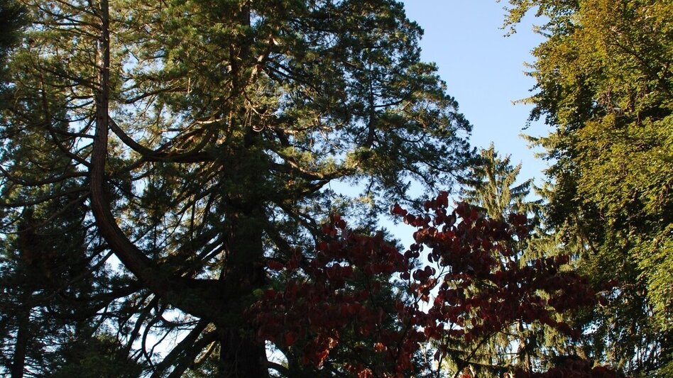 Bike Riding Bike&Train Gleichenberg Tour (Rad&Bahn Gleichenberger Tour) - Touren-Impression #2.2 | © Thermen- & Vulkanland