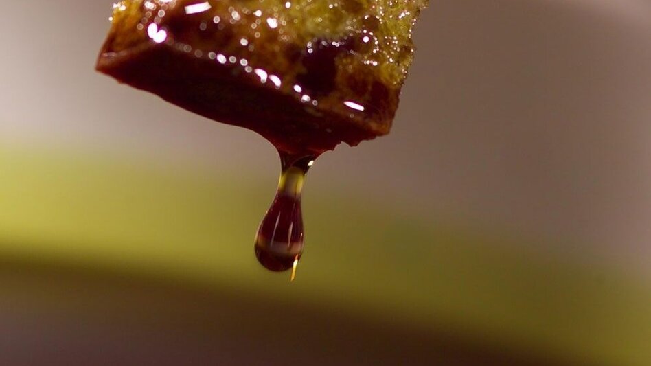 Bike Riding Bike&Train Gleichenberg Tour (Rad&Bahn Gleichenberger Tour) - Touren-Impression #2.3 | © Thermen- & Vulkanland