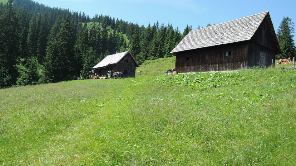 Wanderung Neuburgalmwanderung - Touren-Impression #2.3 | © Tourismusverband ERZBERG LEOBEN