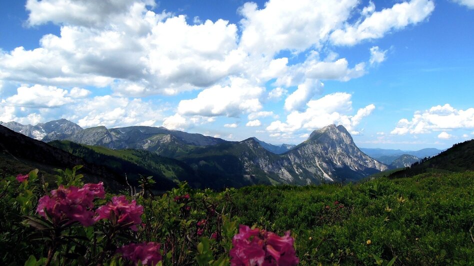Wanderung Neuburgalmwanderung - Touren-Impression #2.4 | © Tourismusverband ERZBERG LEOBEN