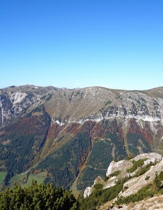 Ausblick auf die Schneealm | Daniela Paul | © Naturpark Mürzer Oberland