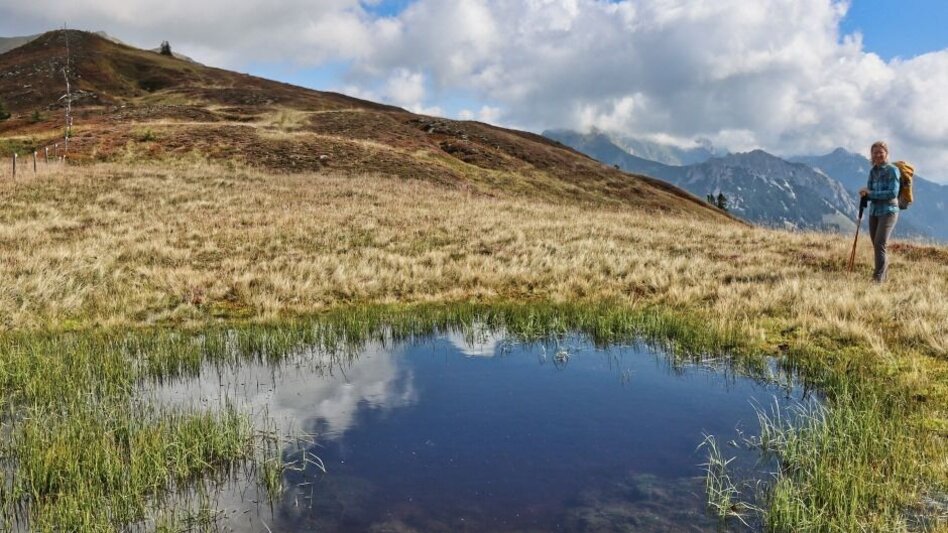 Hiking route Wildfeld - Stadlstein - Touren-Impression #2.4 | © WEGES OG