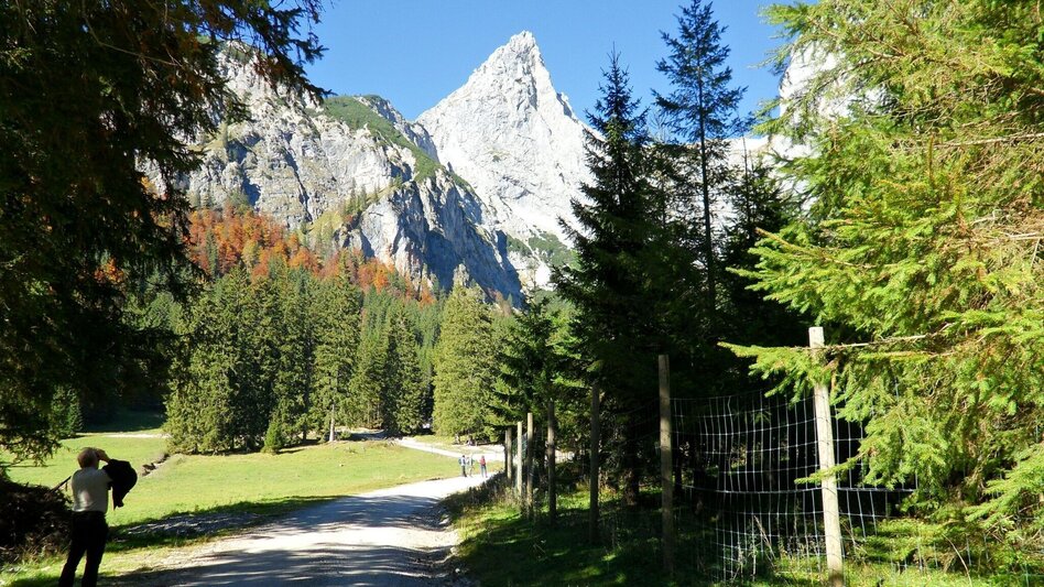 Hiking route Wildfeld - Stadlstein - Touren-Impression #2.1 | © Museum Eisenerz