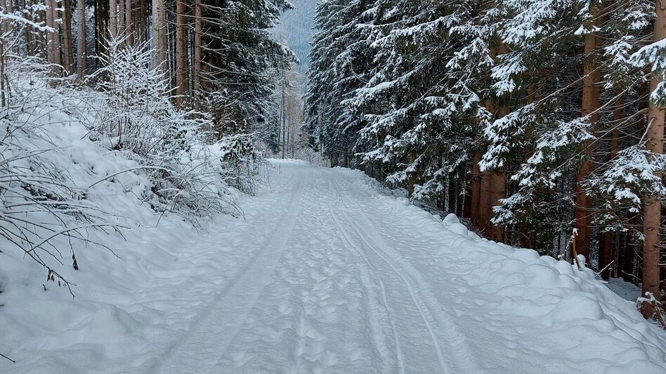 Theme path Hob mi gern Steig - Aflenz - Touren-Impression #2.5 | © TV Hochsteiermark