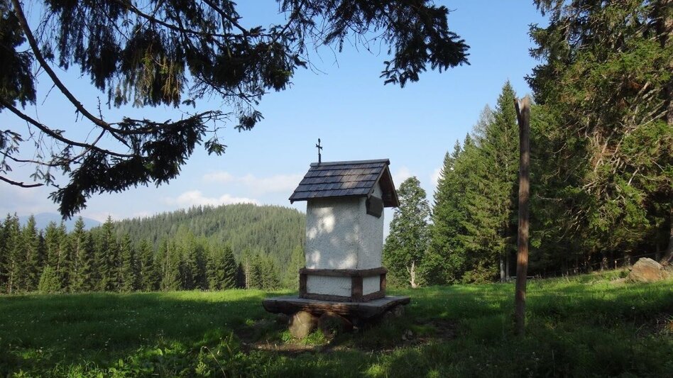 Hiking route From Etmißl to the Federleben - Touren-Impression #2.1 | © Marktgemeinde Thörl