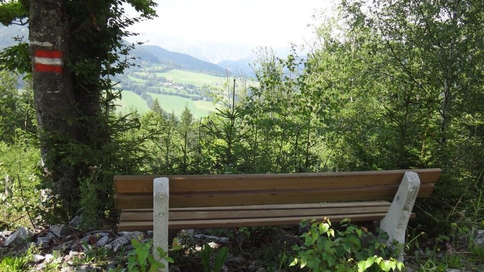 Hiking route From Etmißl to the Federleben - Touren-Impression #2.3 | © Marktgemeinde Thörl