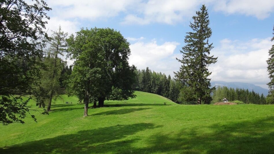 Hiking route From Etmißl to the Federleben - Touren-Impression #2.4 | © Marktgemeinde Thörl