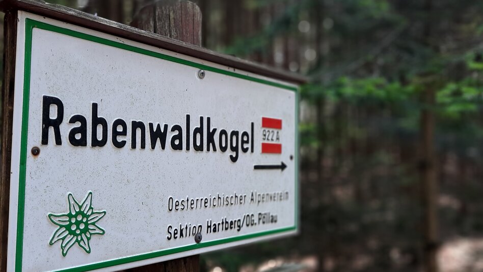 Wanderung Pöllau-Runde über Buchkogel, Rabenwald und Gschaid, Pöllau - Touren-Impression #2.9 | © Oststeiermark Tourismus