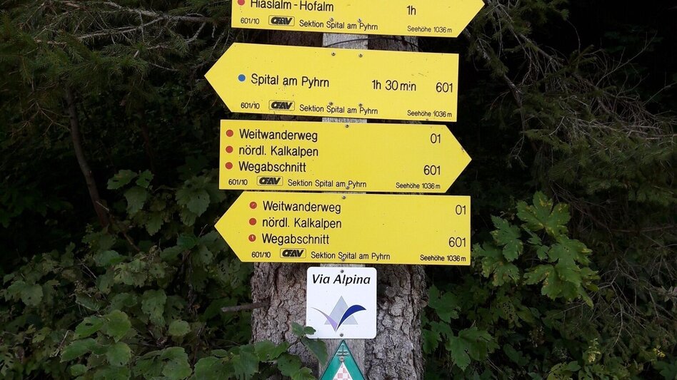 Bergtour Von der Bosruckhütte auf den Großen Pyhrgas - Touren-Impression #2.2 | © TV Gesäuse