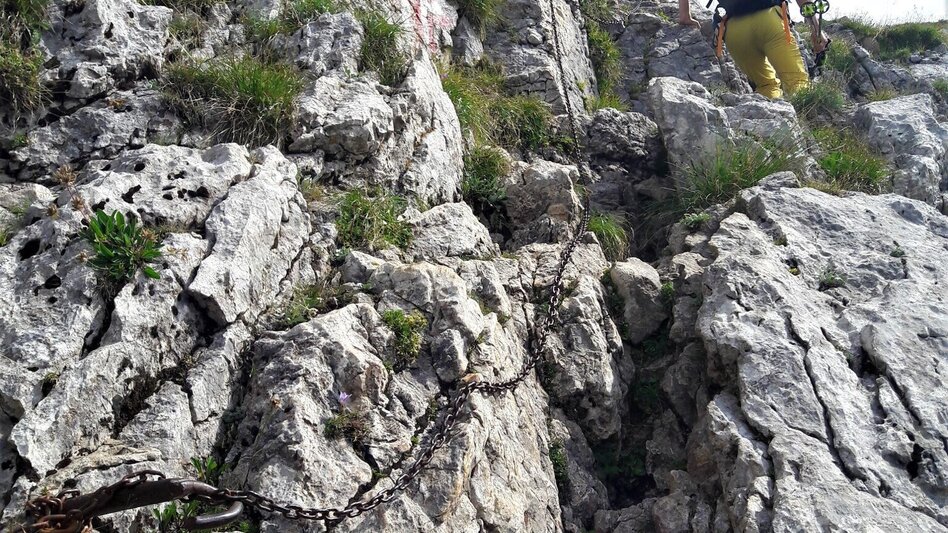 Bergtour Von der Bosruckhütte auf den Großen Pyhrgas - Touren-Impression #2.7 | © TV Gesäuse