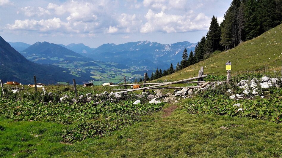 Bergtour Von der Bosruckhütte auf den Großen Pyhrgas - Touren-Impression #2.10 | © TV Gesäuse