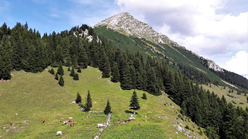 Bergtour Von der Bosruckhütte auf den Großen Pyhrgas - Touren-Impression #2.11 | © TV Gesäuse
